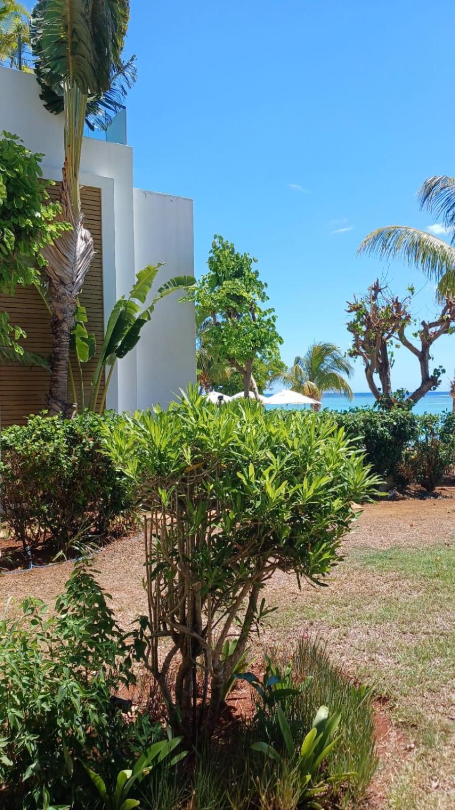 Cap Ouest Luxury Beachfront Flic en Flac Bagian luar foto